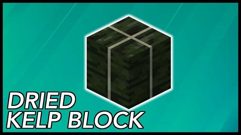 A dried kelp block in Minecraft. (Image via RajCraft/YouTube)