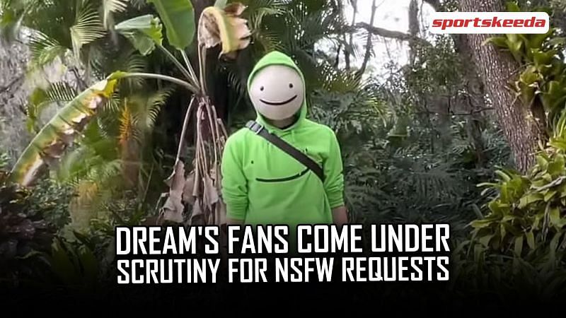 Minecraft star Dream meets screaming fans after face reveal