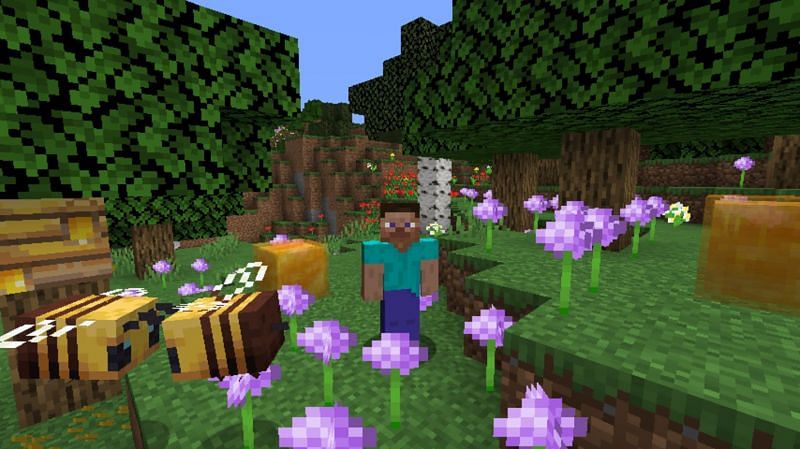 Steve surrounded by bees in a flower forest biome in Minecraft. (Image via Minecraft)