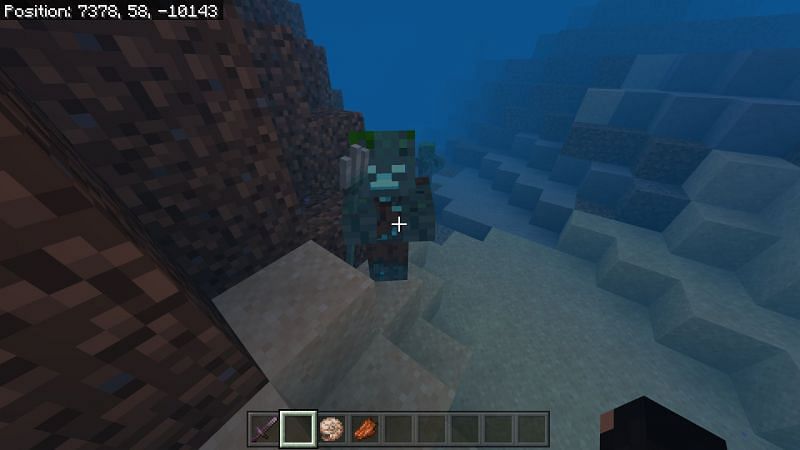 Drowned Zombie