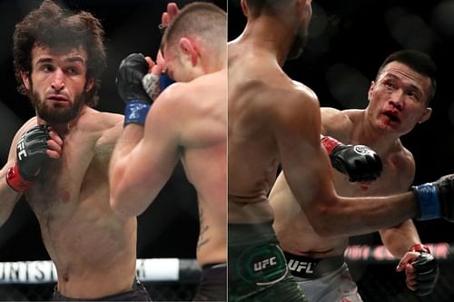 Zabit Magomedsharipov vs. The Korean Zombie - potential UFC 257 fight