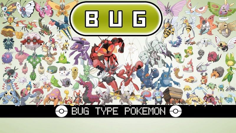 Flying Bug Pokemon