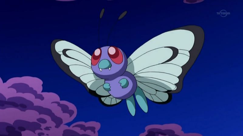 Top 5 Bug Pokemon from Kanto