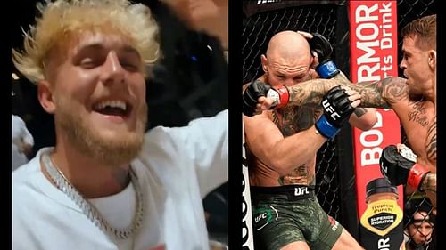 Jake Paul taunts Conor McGregor after his loss at UFC 257