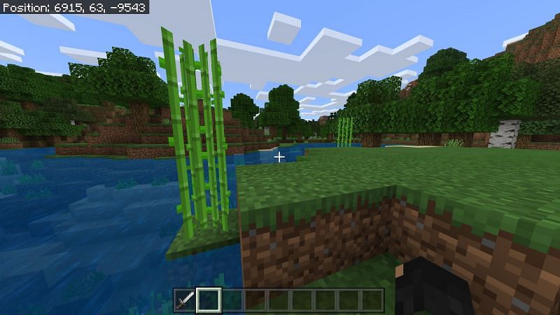 Sugarcane in Minecraft