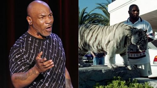 Mike Tyson used to own a White Bengal Tiger named Kenya