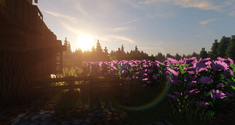 Shaders&nbsp;can completely change Minecraft worlds (Image via DeDelner, twitter)