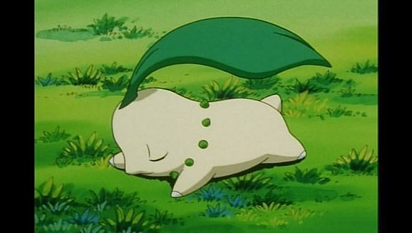 Chikorita, Pokémon Wiki