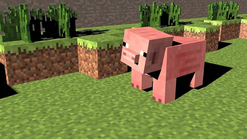 A pig in Minecraft. (Image via cdn.wallpapersafari.com)
