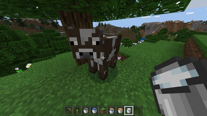 usando um balde de leite de uma vaca no minecraft