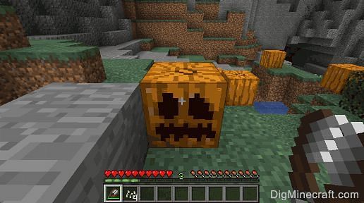 Pumpkin in Minecraft