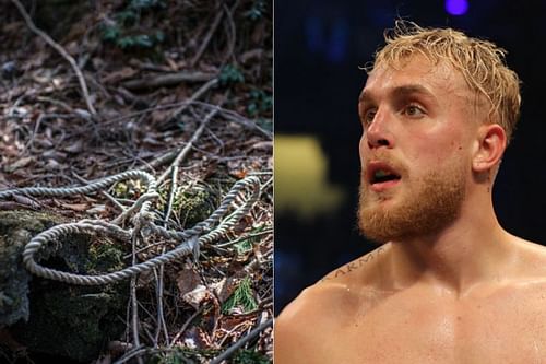 YouTuber Jake Paul has not visited the suicide forest