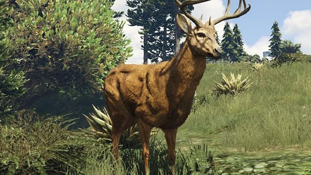 The absence of animals from GTA games is pretty evident (Image via GTA Base)