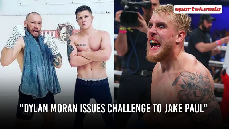 Dylan Moran has left a stern warning for Jake Paul