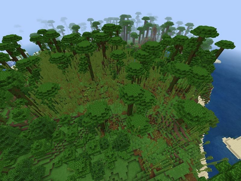 Bamboo jungle Minecraft biome