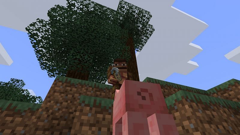 I will name you Gerald! (Image via Minecraft)