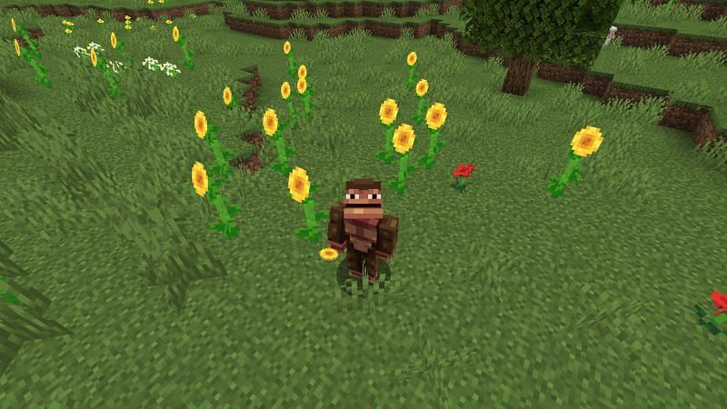 Sunflower fields forever (Image via Minecraft)