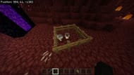 minecraft chickens in nether