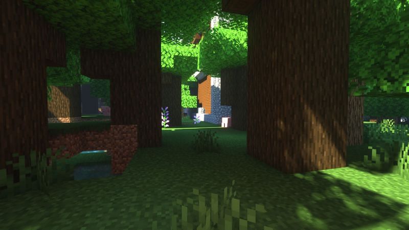 A Dark Forest biome in Minecraft (Image via Minecraft)