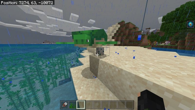 Minecraft Turtle: Spawning, Behavior and where to find them