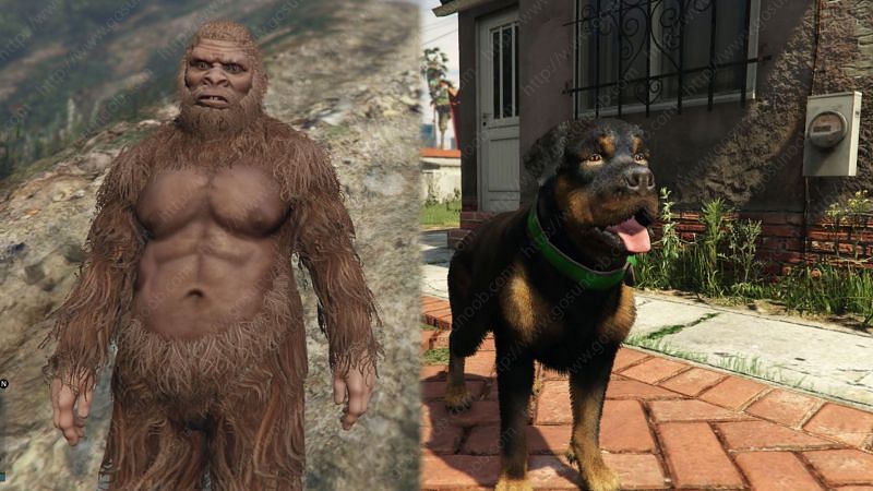 Complete list of all animal hallucinations from Peyote Plants in GTA Online