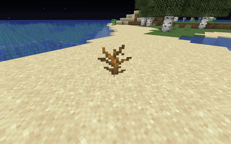 What Is The Most Useless Animal In Minecraft