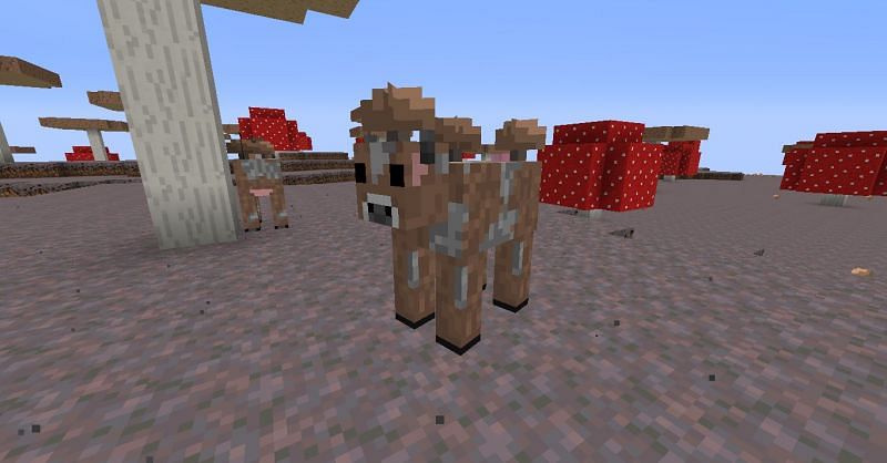 Brown mooshrooms (Image via Minecraft)