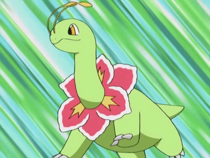 pokemon meganium