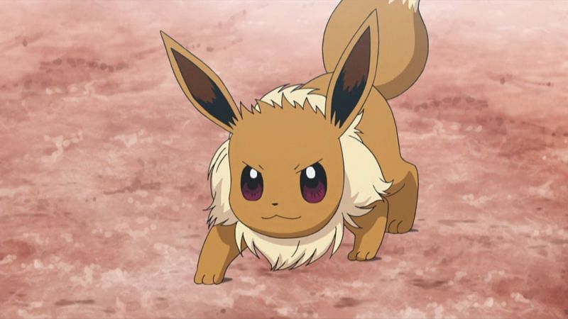 Image result for eevee pokemon anime