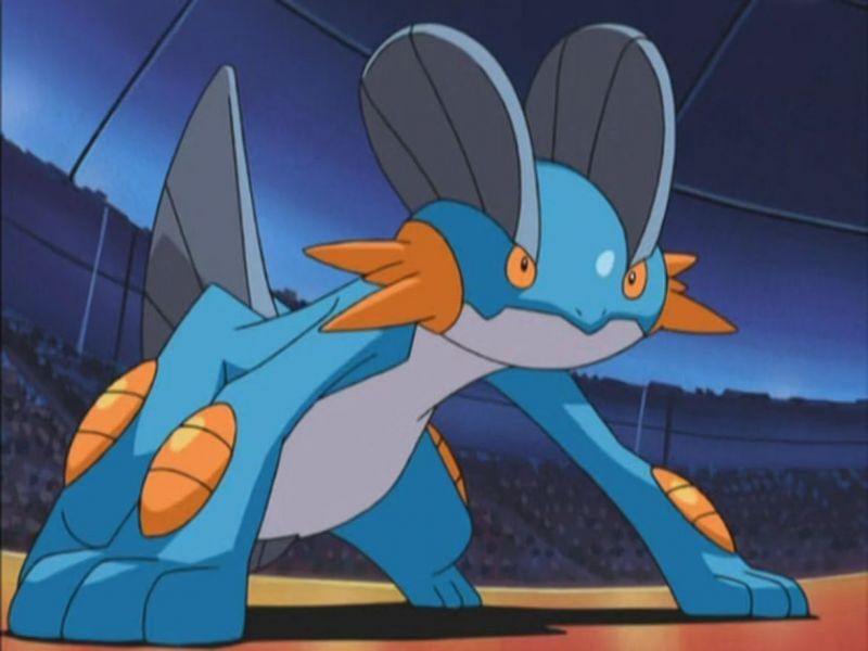 The best team for Pokemon Emerald with Swampert