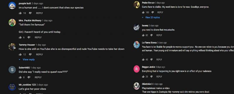 The comments on the videos (Image Via (Image Via YouTube/PLAYMATETESSI)