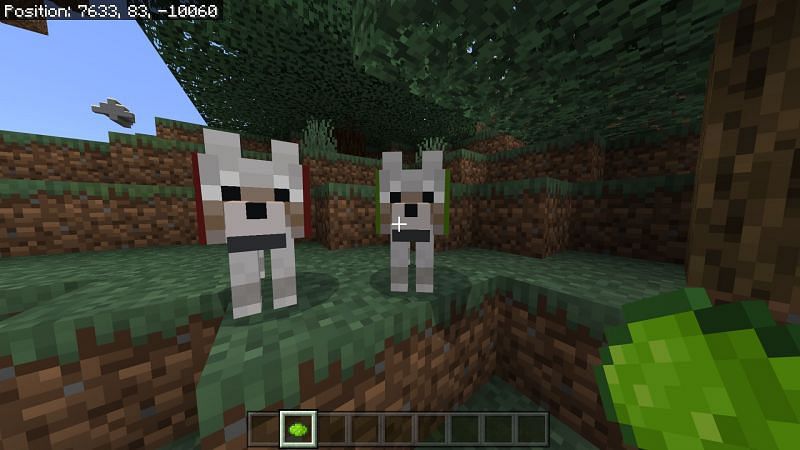 Wolves (Image via Minecraft)