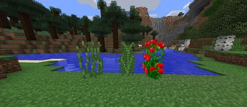 A large fern in Minecraft (middle)