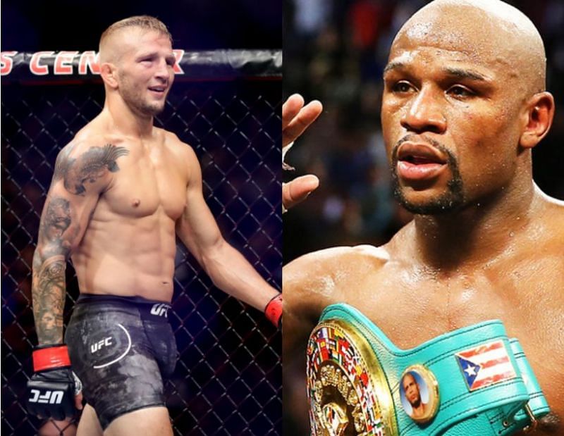 TJ Dillashaw is open to fighting Floyd Mayweather