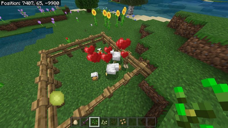 minecraft chickens breeding