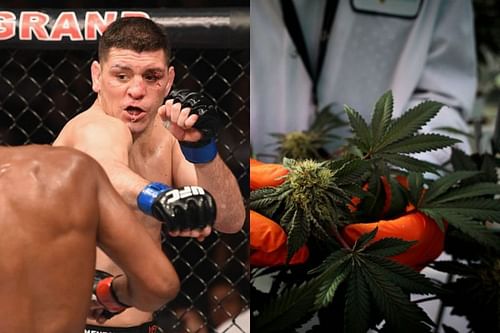 Nick Diaz last fought in the UFC in 2015