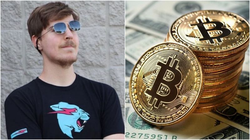 mennyi pénzt keresett mr beast a bitcoinból