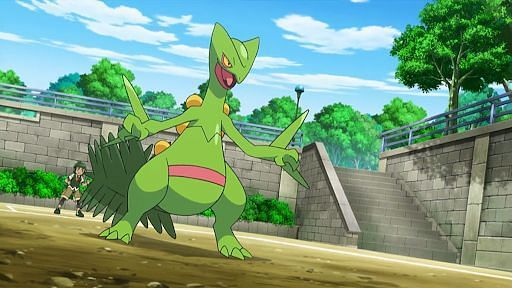 De quem é o Sceptile em Pokémon XY&Z? 