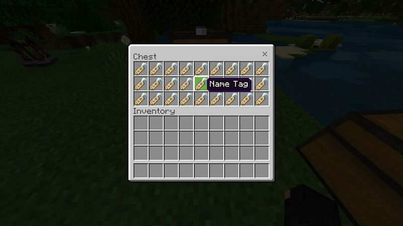 Minecraft Name Tag
