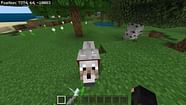 How To Get Wolves To Spawn In Minecraft Boohotline