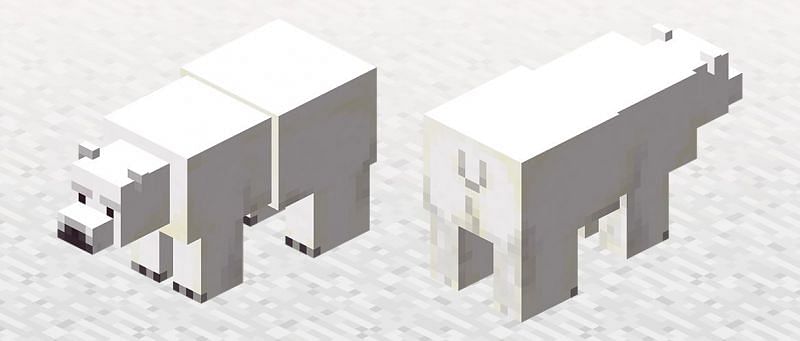 Minecraft Polar Bears