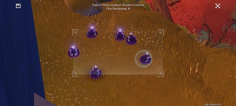 Genshin Impact Purple Creatures Complete Five Flushes Of Fortune Easily - roblox flunkville quests purple