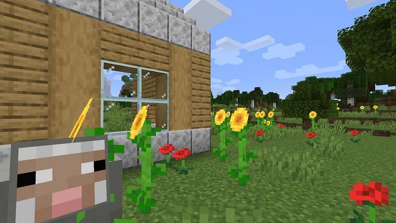 House with sunflowers (Image via Minecraft)