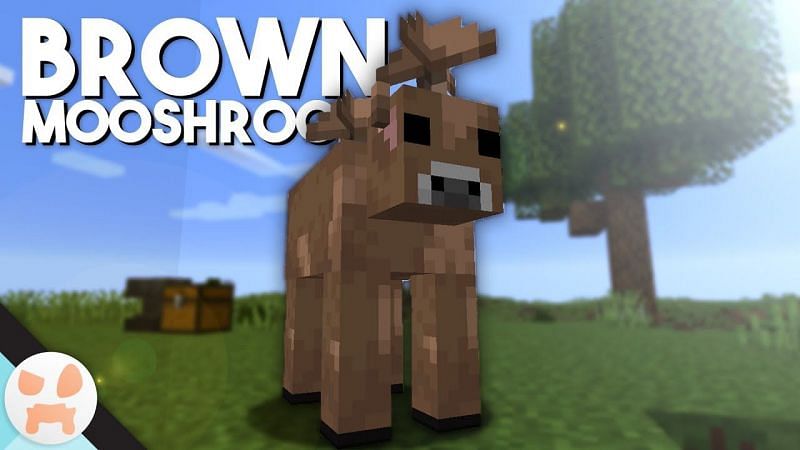 Minecraft's rare Brown Mooshroom Cow: All you need to know