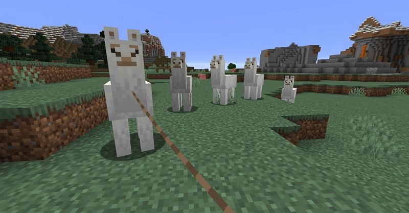 A llama caravan in Minecraft. (Image via Minecraft)