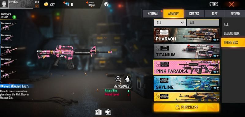 Pink Paradise Gun Box