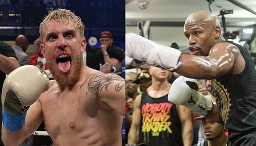 Jake Paul (left); Floyd Mayweather (right)