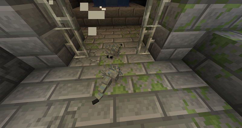 Silverfish (Image via Minecraft)