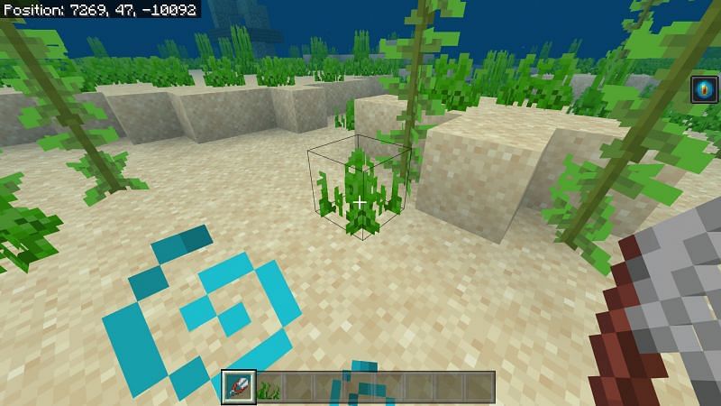Minecraft Sea grass