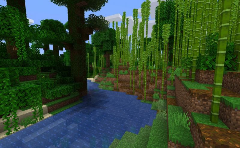 Bamboo Jungle (Image via Minecraft)